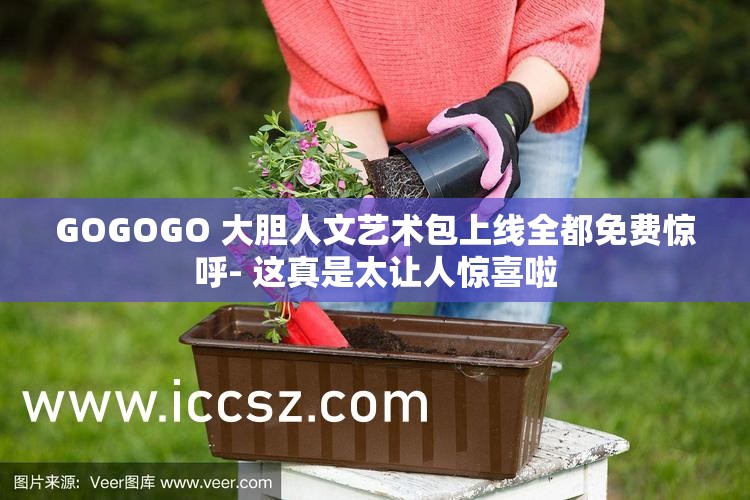 GOGOGO 大胆人文艺术包上线全都免费惊呼- 这真是太让人惊喜啦