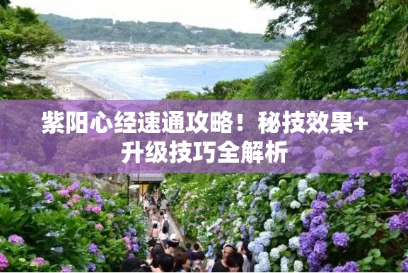 紫阳心经速通攻略！秘技效果+升级技巧全解析